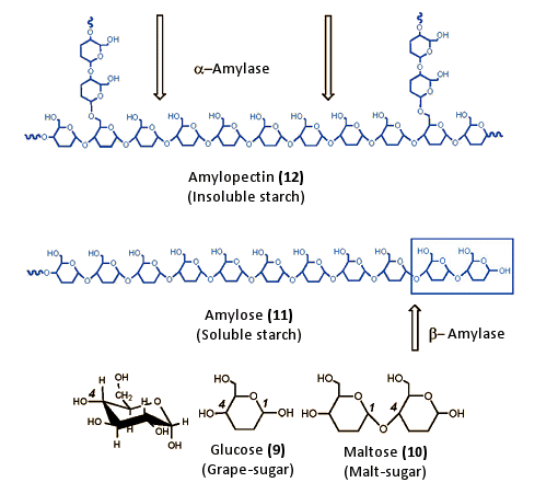 Our Daily Bread — Part 3 :: ChemViews Magazine :: ChemistryViews