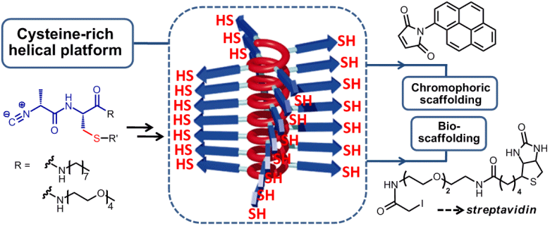 A Thio Millipede Invasion Chemviews Magazine Chemistryviews