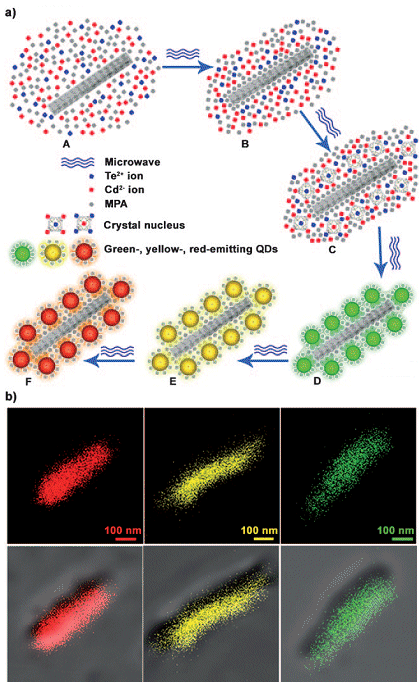 Rainbow Nanowires :: ChemViews Magazine :: ChemistryViews