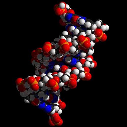 What is Chirality? :: ChemViews Magazine :: ChemistryViews