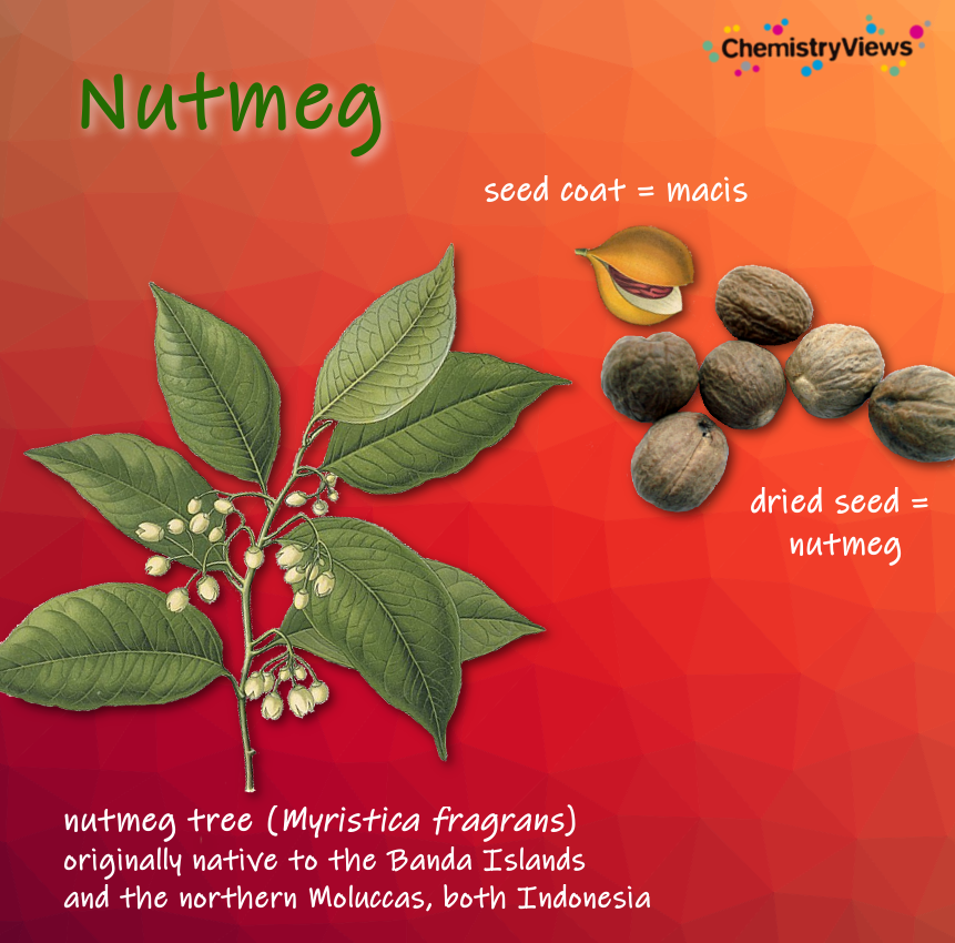 Nutmeg Chemistry Chemviews Magazine Chemistryviews