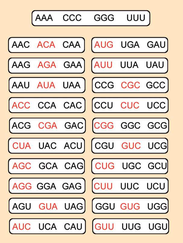 deciphering-the-genetic-code-the-most-beautiful-false-theory-in