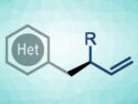 Asymmetric Substitution of Methyl Azaarenes