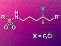 Synthesis of δ-Halogenated Sulfonyl Amides