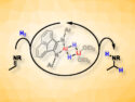 Li/Al Dihydride for the Hydrogenation of Imines