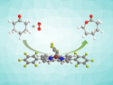 Aerobic Baeyer−Villiger Oxidation Catalyzed by Metal Corroles