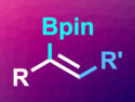 Regioselective Carboboration of Terminal Alkynes