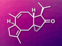 First Asymmetric Total Synthesis of Hypoestin A