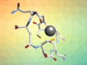 Cyclic Octapeptides for Lead Detoxification