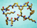 Selective Generation of Bicyclic Peptides