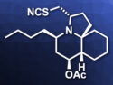 Total Synthesis of (−)-Cylindricine H