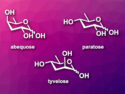 Asymmetric Synthesis of 3,6-Dideoxy Sugars