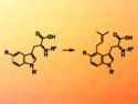 Biocatalytic C4-Prenylation of Tryptophan Derivatives