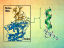 A Synthetic Ligand for the SARS-CoV-2 Spike Protein