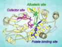 Anticancer Drugs with Improved Selectivity