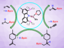 Monomeric Magnesium Complexes for Catalysis