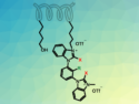 Polymer-Bound Halogen Bonding Organocatalysts