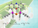 Rhodium-Catalyzed 1,4-Hydrogenation of Conjugated Dienals