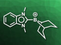 Borenium Ion Used as a Catalyst for the Hydrogenation of N-Heterocycles