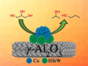 Sustainable and Selective Propanol Production