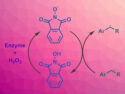 Enzyme Combined with Redox Mediator for C–H Activation