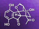 First Enantioselective Total Synthesis of (+)-Lucidumone