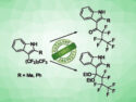 Catalyst‐Free C–F Activation of 3-Perfluoroalkyl Indoles