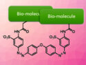 Light-Responsive Linkers for the Control of Biomolecules