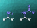 Enzyme Used to Insert Nitrogen into Unactivated C–H Bonds