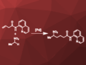 Palladium-Catalyzed Addition of Nitroalkanes to Alkenes