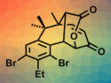 Total Synthesis of Salimabromide