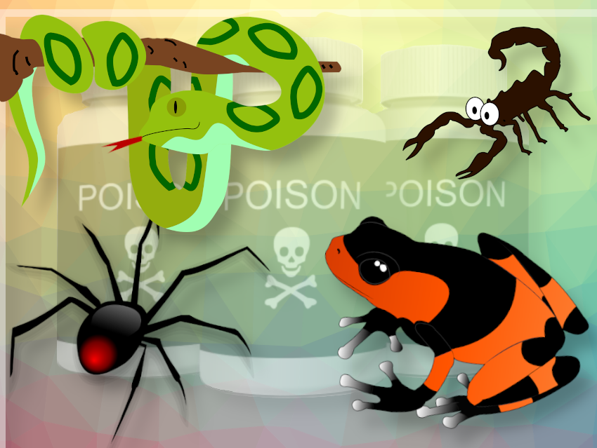 Scorpion venom yields novel alkaloid