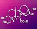 Concise Synthesis of a Gibberellin Methyl Ester