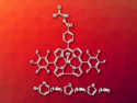 Gallium(III) Amide Corroles with Antitumor Activity