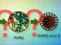 Impact of RNA Modifications on SARS-CoV-2 RNA Synthesis