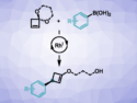 Bench-Stable Cyclobutenone Surrogates Undergo Arylations