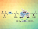 Tri-Enzymatic Cascade for the Synthesis of an Important Chiral Drug Intermediate