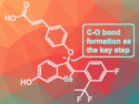 Se Analogue of Breast Cancer Medication