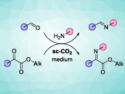 Autocatalytic Green Synthesis of Imines