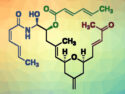 Linear Zampanolide Analogue Shows Cytotoxicity