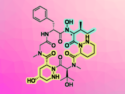 Natural Cyclopeptides as a Source of Novel Antibiotics