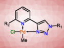 Palladium Pyridyl-Triazolyl Complexes Show Antifungal Activity