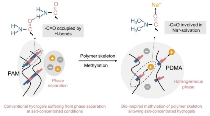 Flexible Sodium-Ion Batteries Improved By Electrolyte Methylation ...