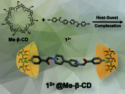 Multi-Responsive Chromic Viologen Supramolecule with Tunable Dynamic Fluorescence
