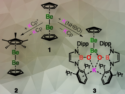 Unexpected Continuity in Bonding Trends Across Period 2 Elements