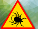 Molecular Diagnostic Kit To Accurately Detect Lyme Disease In Minutes
