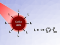 Pyridinethiolate-Capped CdSe Quantum Dots for H2 Production
