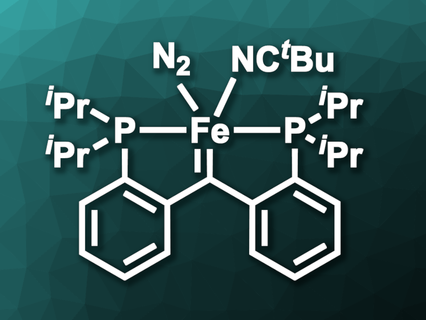 Iron Complexes for Olefin Metathesis