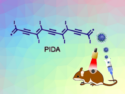 Iodine-Substituted Polydiacetylene Nanospheres for Phototherapy