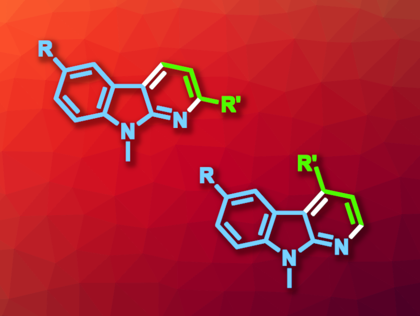 Solvent-Controlled Synthesis of 2- and 4-Substituted α-Carbolines